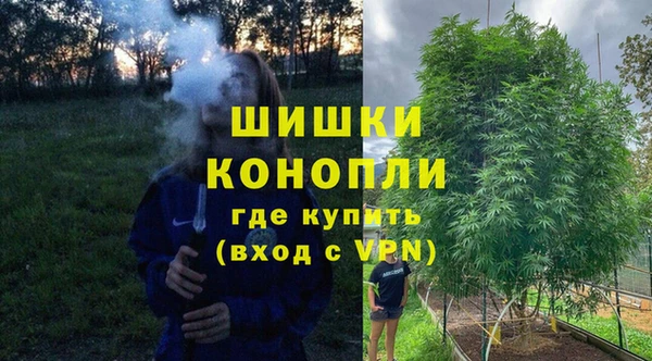 PSILOCYBIN Михайловск