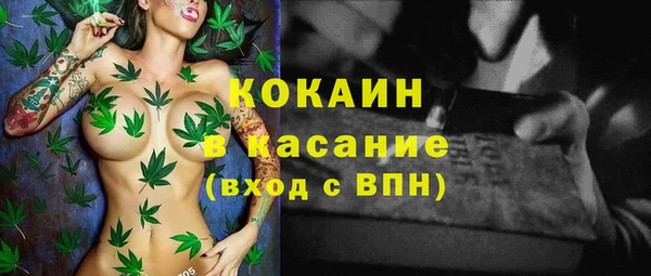 не бодяженный Михайлов