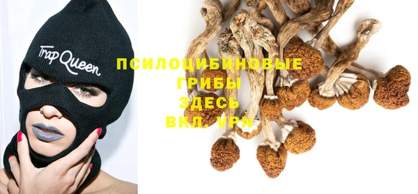 соль ск Михайловка